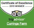 TripAdvisor Award