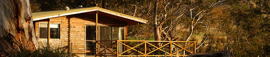 A wooden cabin, in a bush setting.