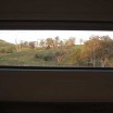 Bedroom view